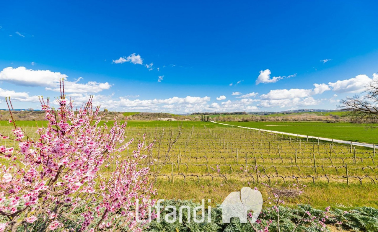 001__agriturismo-scansano-toscana-132-1440×885
