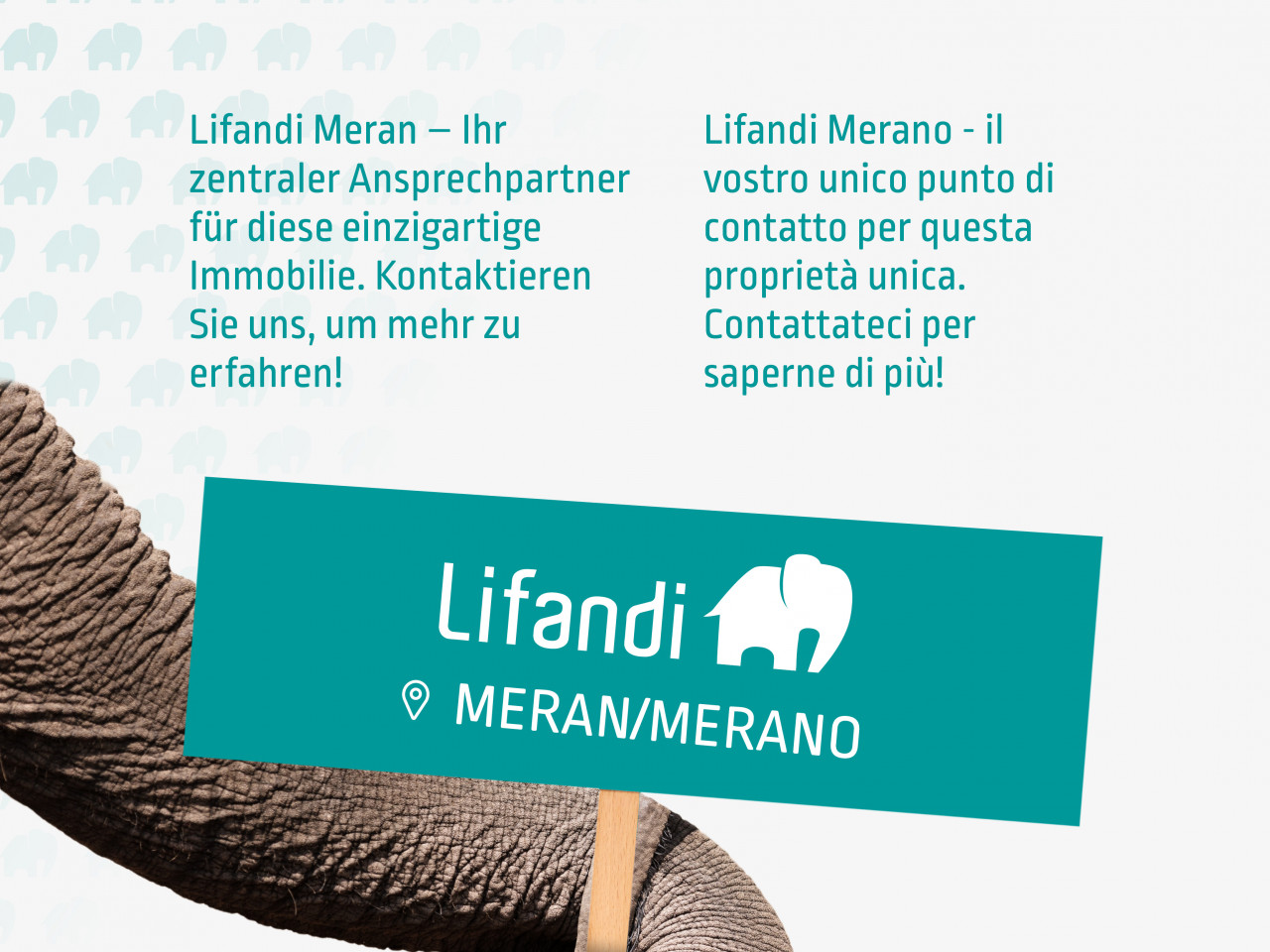 011__4644_23_lifandi_slides_onlineportale9