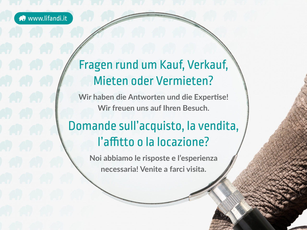 012__4644_23_lifandi_slides_onlineportale17