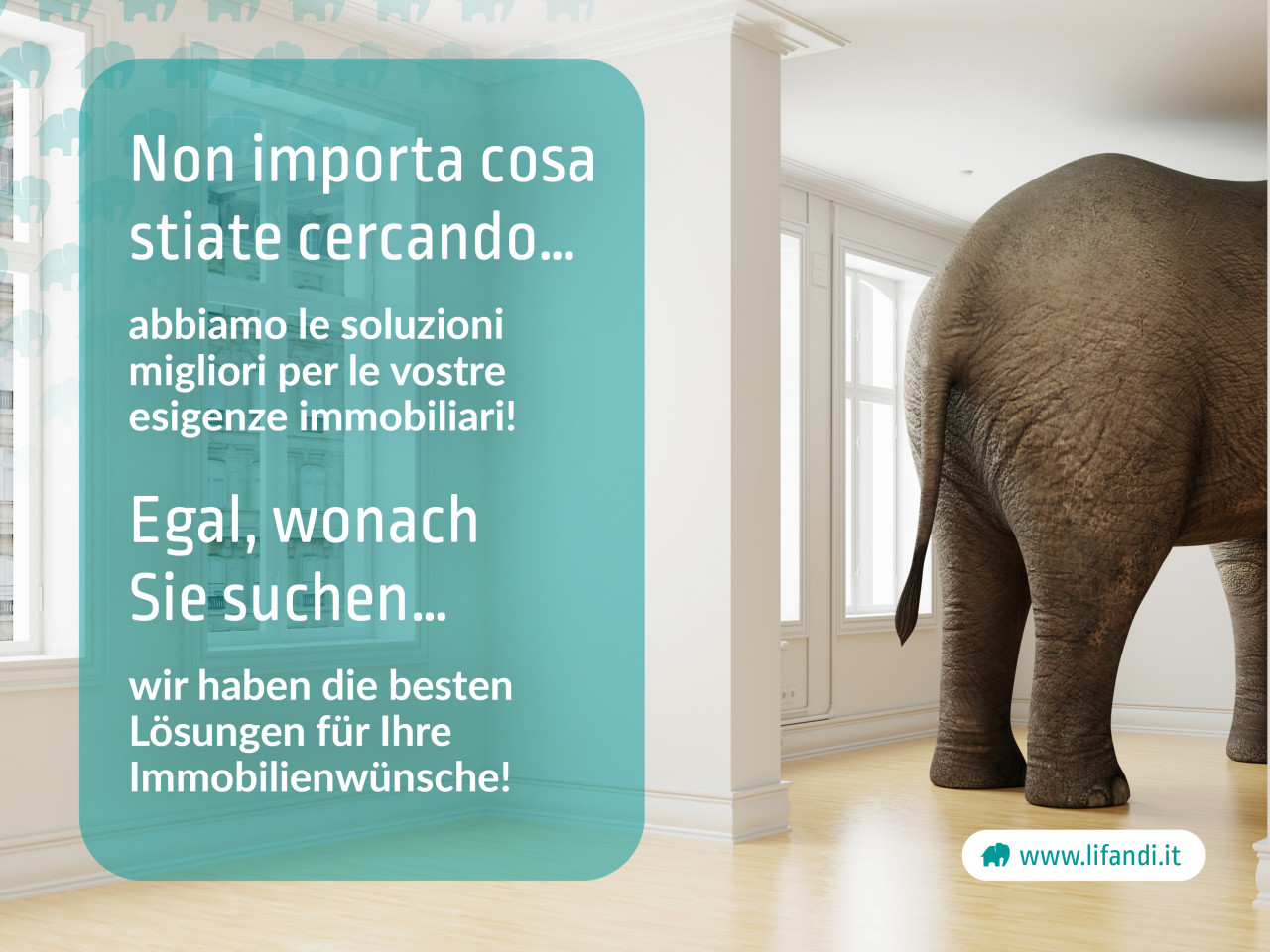 016__4644_23_lifandi_slides_onlineportale14