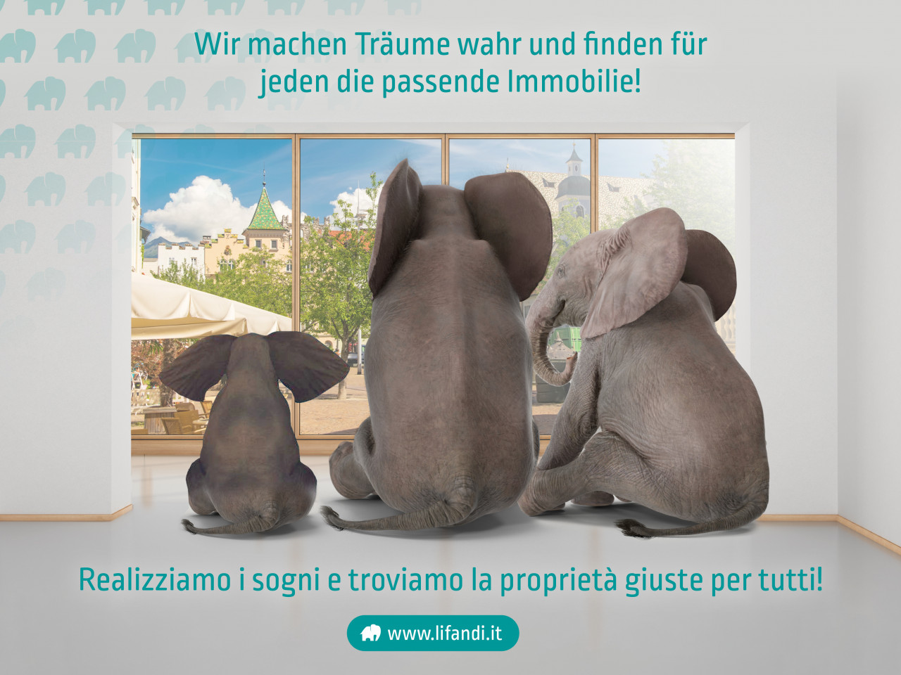 017__4644_23_lifandi_slides_onlineportale11_-_kopie