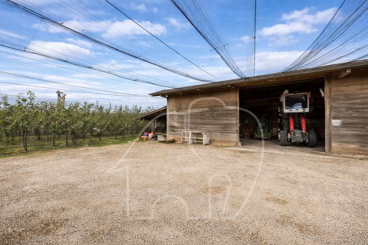 003__n3 Azienda Agricola/Castions di Strada