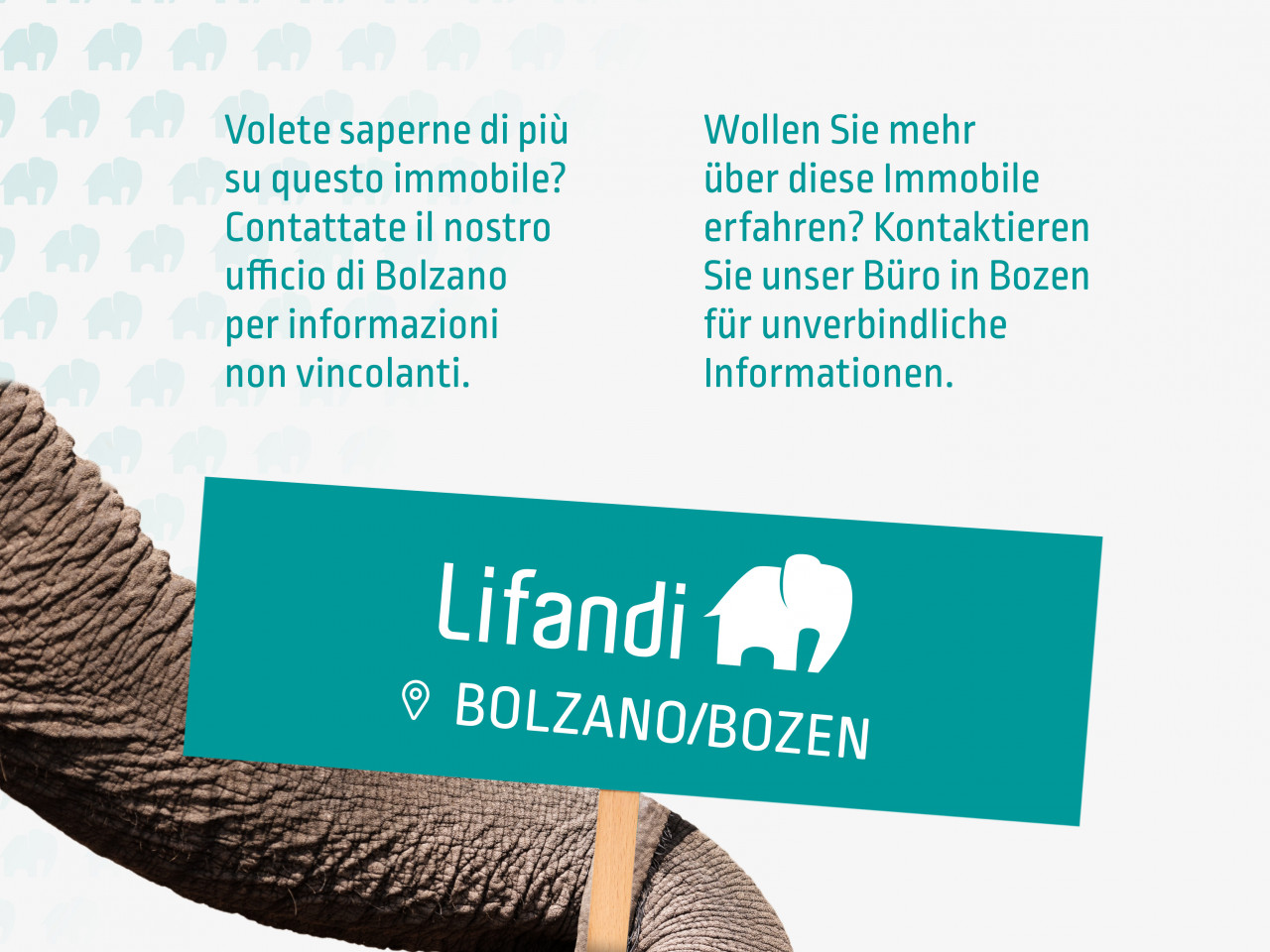 002__4644_23_lifandi_slides_onlineportale7