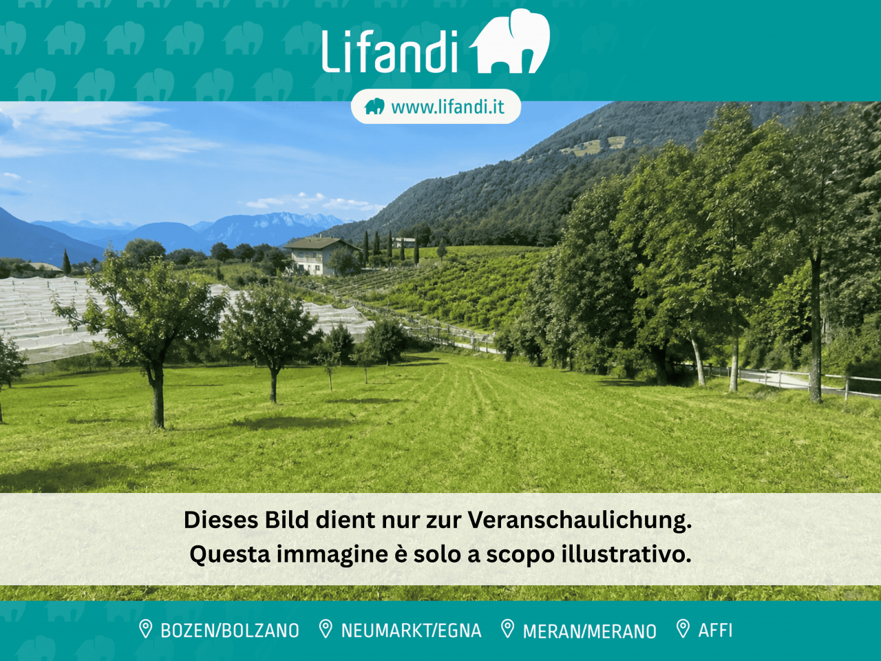 000__12_25_lifandi_vorlage_titelbild__14___1 Vigneto a Cortaccia/Corona – 3.354 m² – Viti di Müller-Thurgau