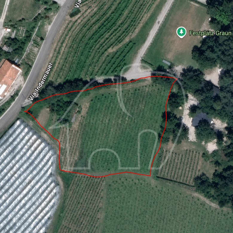 Vigneto a Cortaccia/Corona – 3.354 m² – Viti di Müller-Thurgau
