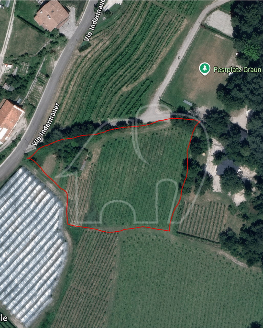 001__j1 Vigneto a Cortaccia/Corona – 3.354 m² – Viti di Müller-Thurgau