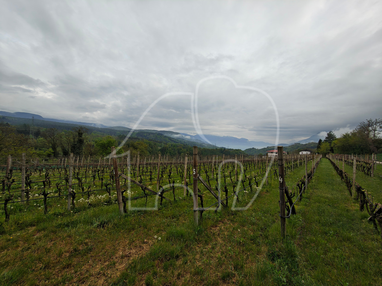002__c1 Weingut