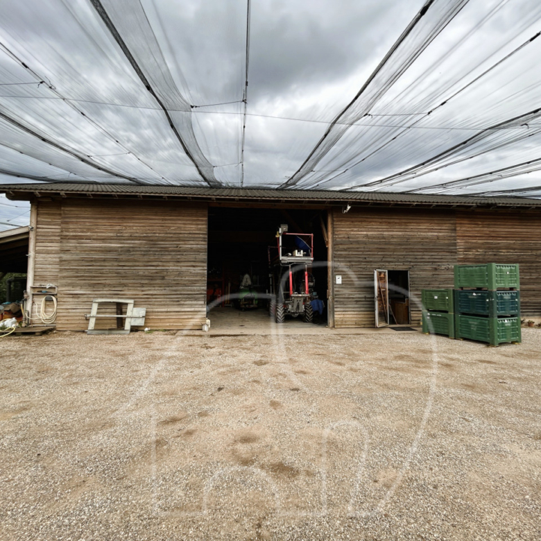 Landwirtschaftlicher Betrieb / Castions di Strada