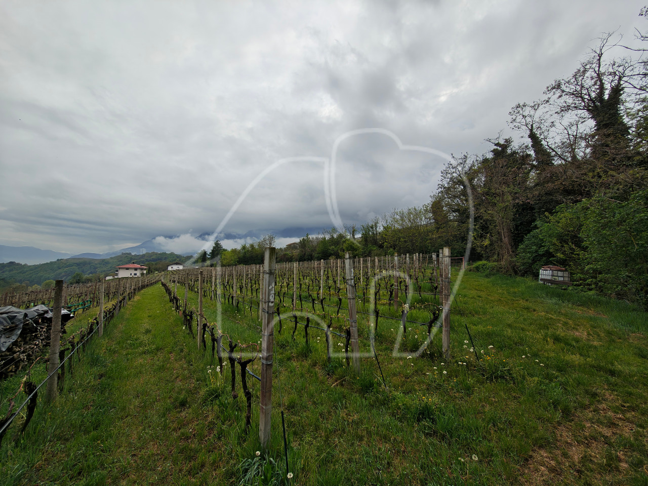003__c2 Weingut