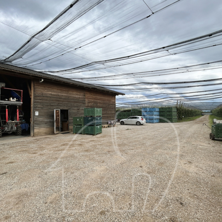 Landwirtschaftlicher Betrieb / Castions di Strada
