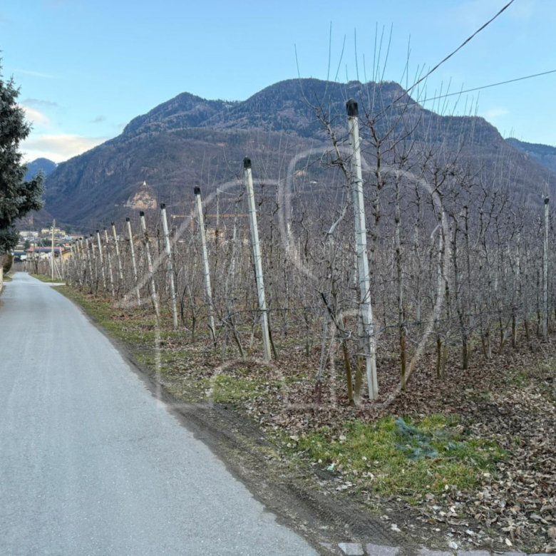 maso chiuso con frutteto