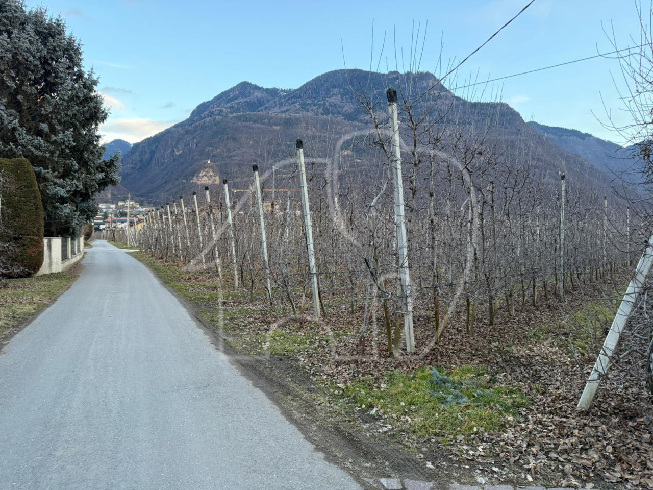maso chiuso con frutteto