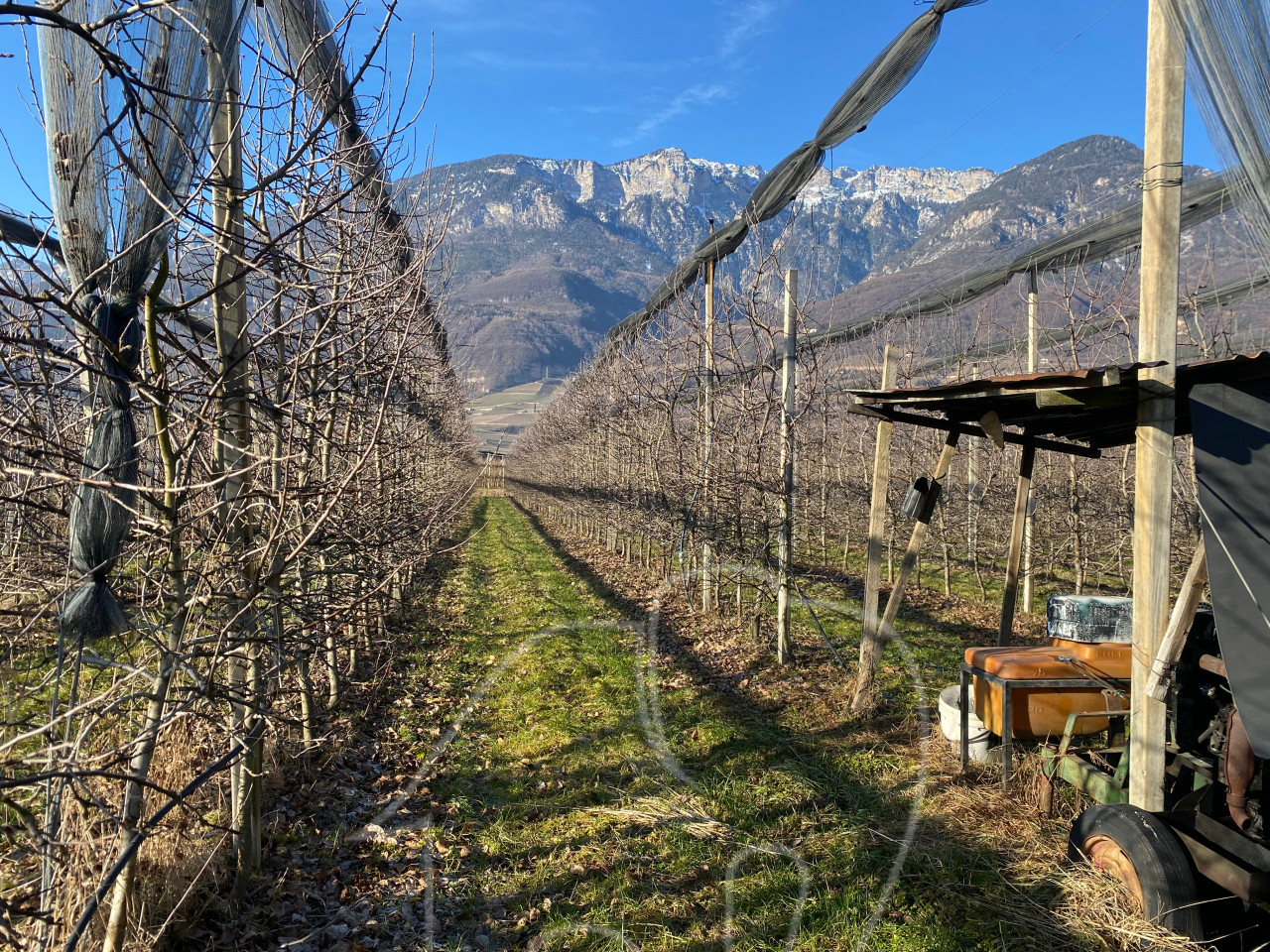 008__j6 Kalterer Moos: Obstgut