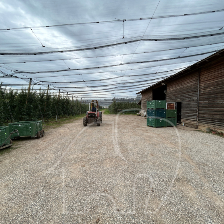 Landwirtschaftlicher Betrieb / Castions di Strada