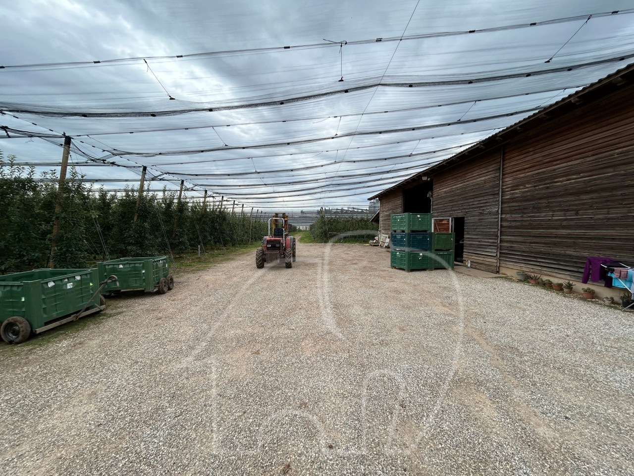 Landwirtschaftlicher Betrieb / Castions di Strada