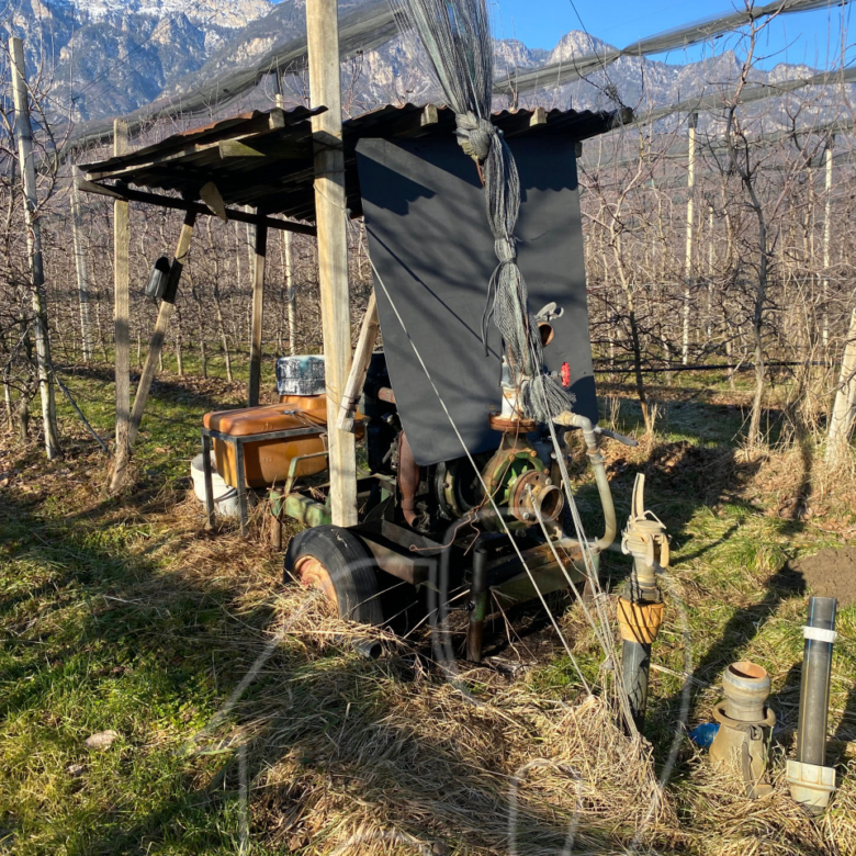 Kalterer Moos: Obstgut