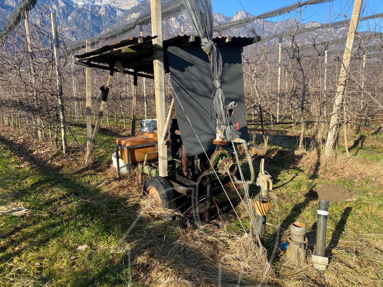 009__j5 Kalterer Moos: Obstgut