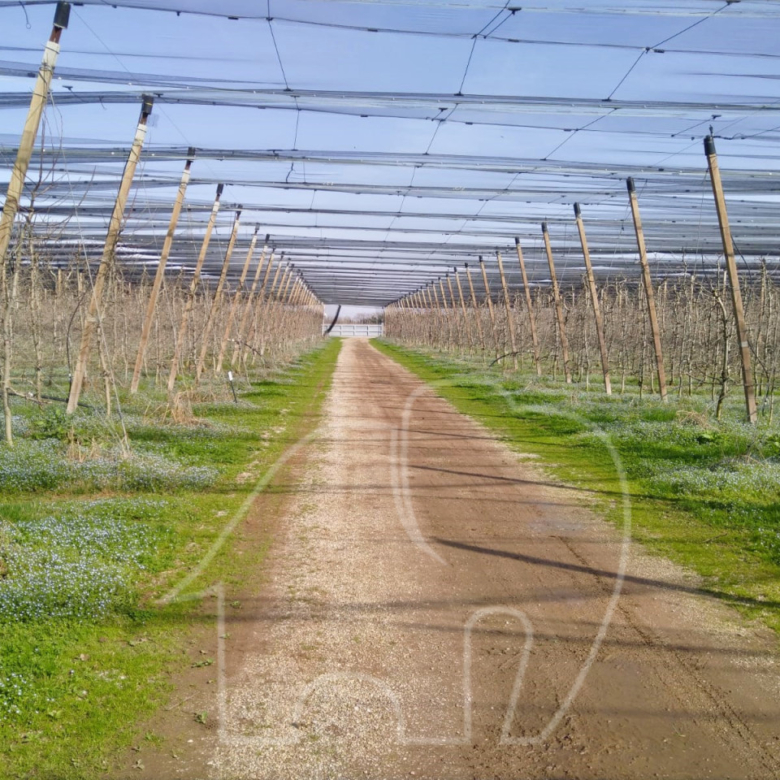 Landwirtschaftlicher Betrieb / Castions di Strada