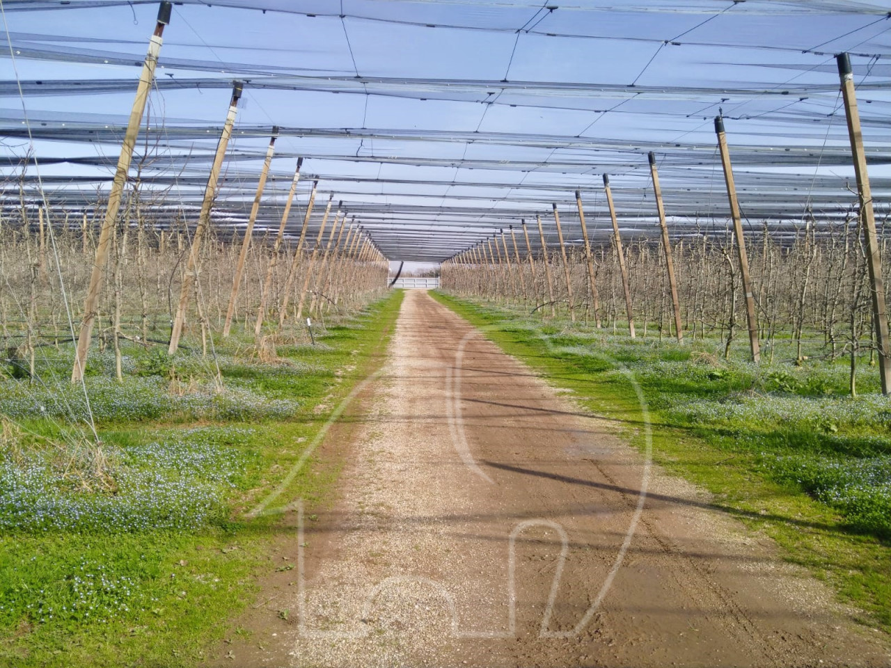 Landwirtschaftlicher Betrieb / Castions di Strada