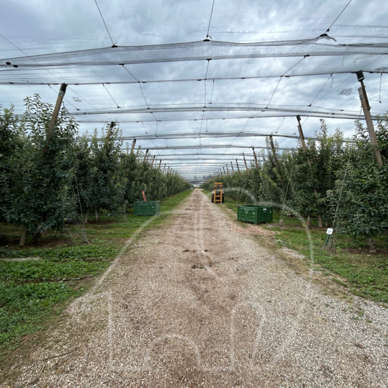 Landwirtschaftlicher Betrieb / Castions di Strada