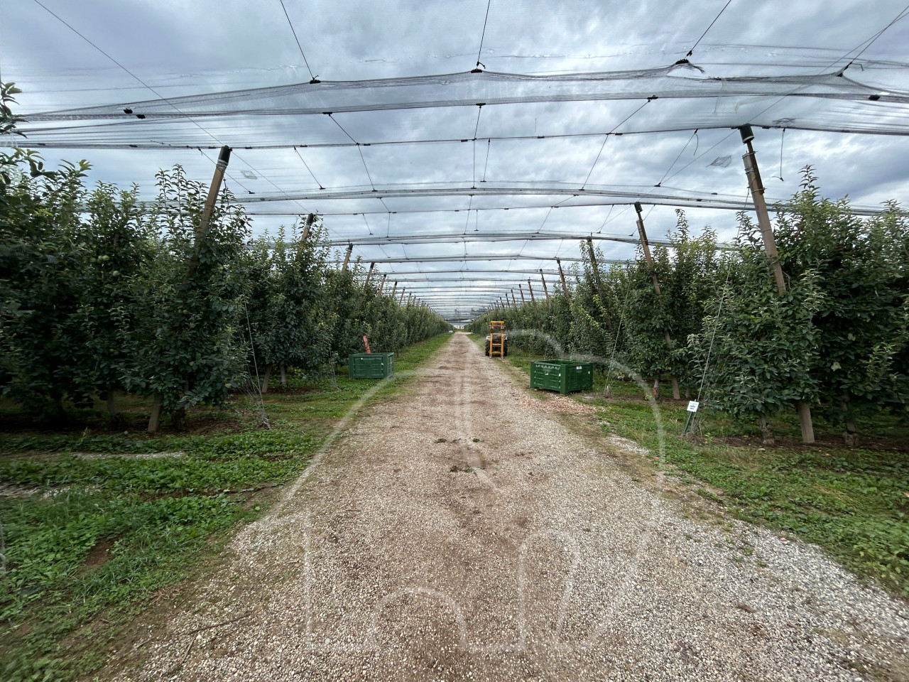 Landwirtschaftlicher Betrieb / Castions di Strada