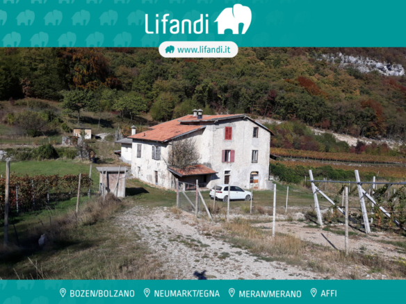 Villa d’epoca con Vigneto e Bosco