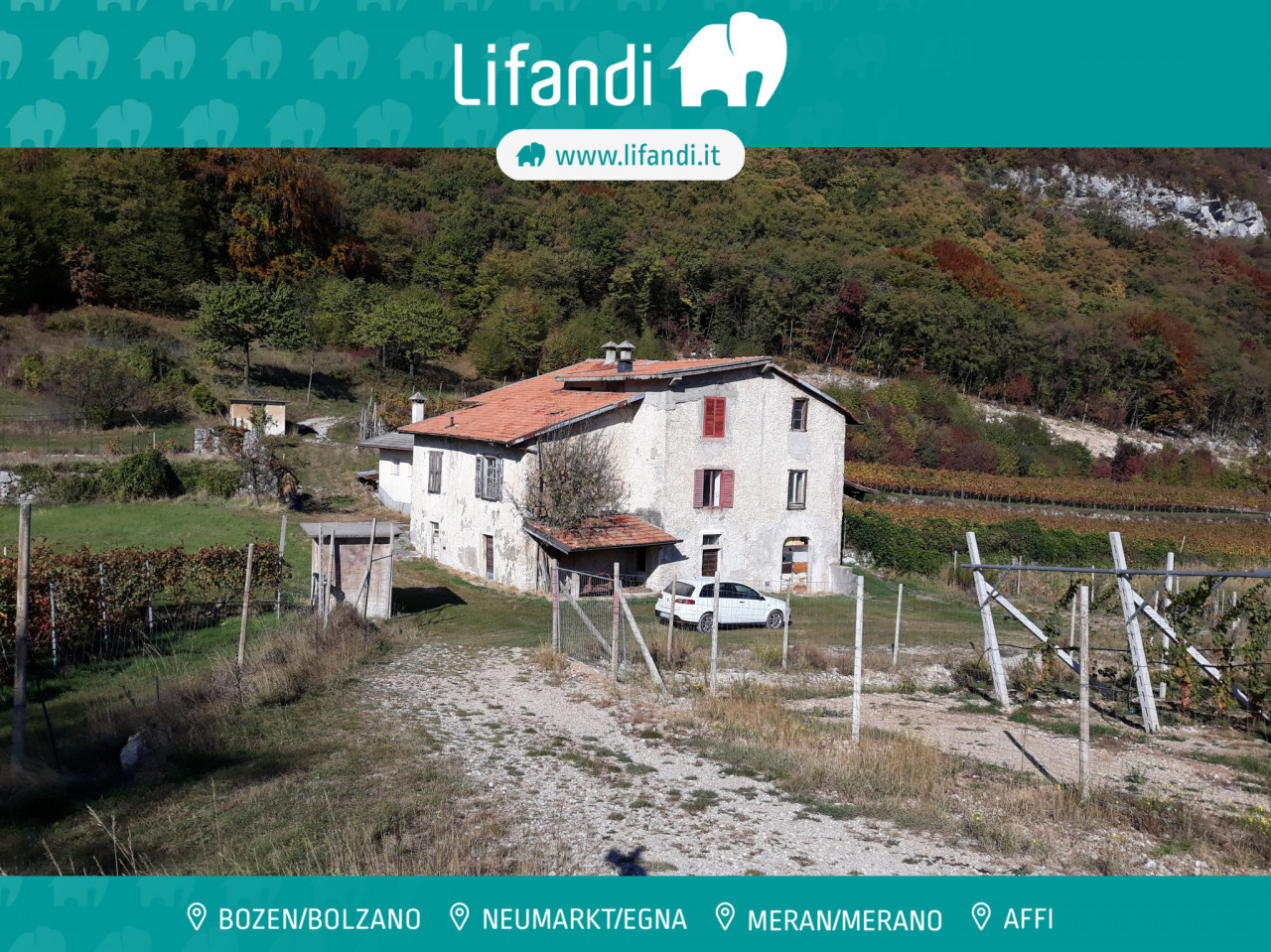 Villa d’epoca con Vigneto e Bosco