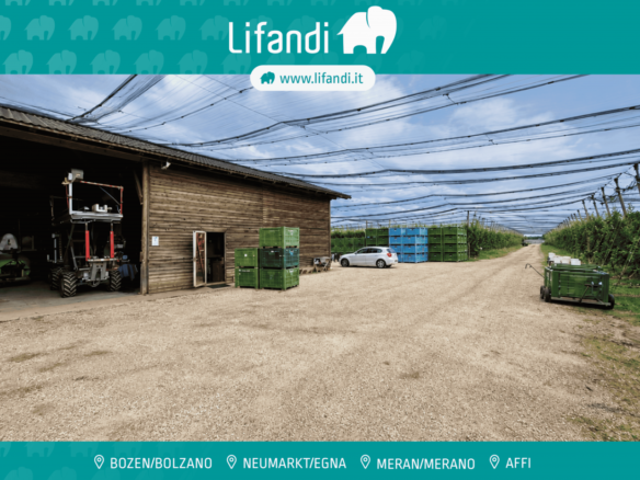 Landwirtschaftlicher Betrieb / Castions di Strada