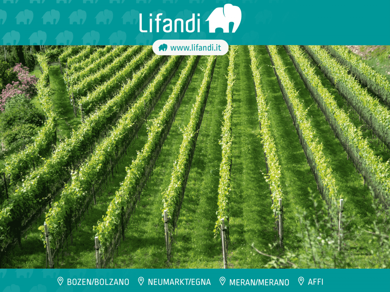 000__lifandi_titelbild_max_9_9mb Vendita discreta