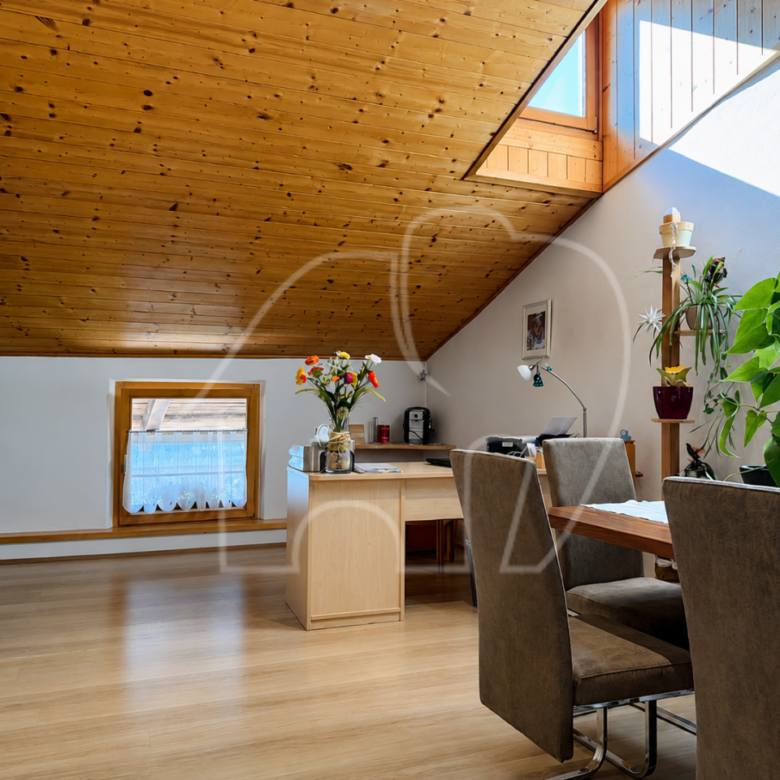 Duplex con ampia cantina