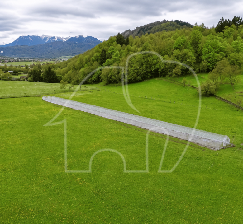Pergine, Masetti: Terreno agricolo