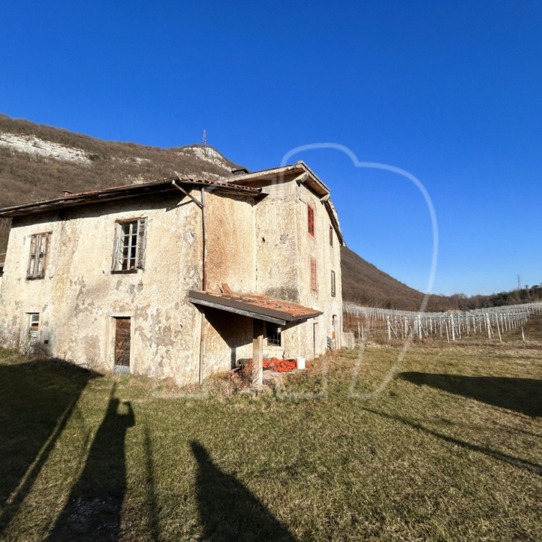 Villa d’epoca con Vigneto e Bosco