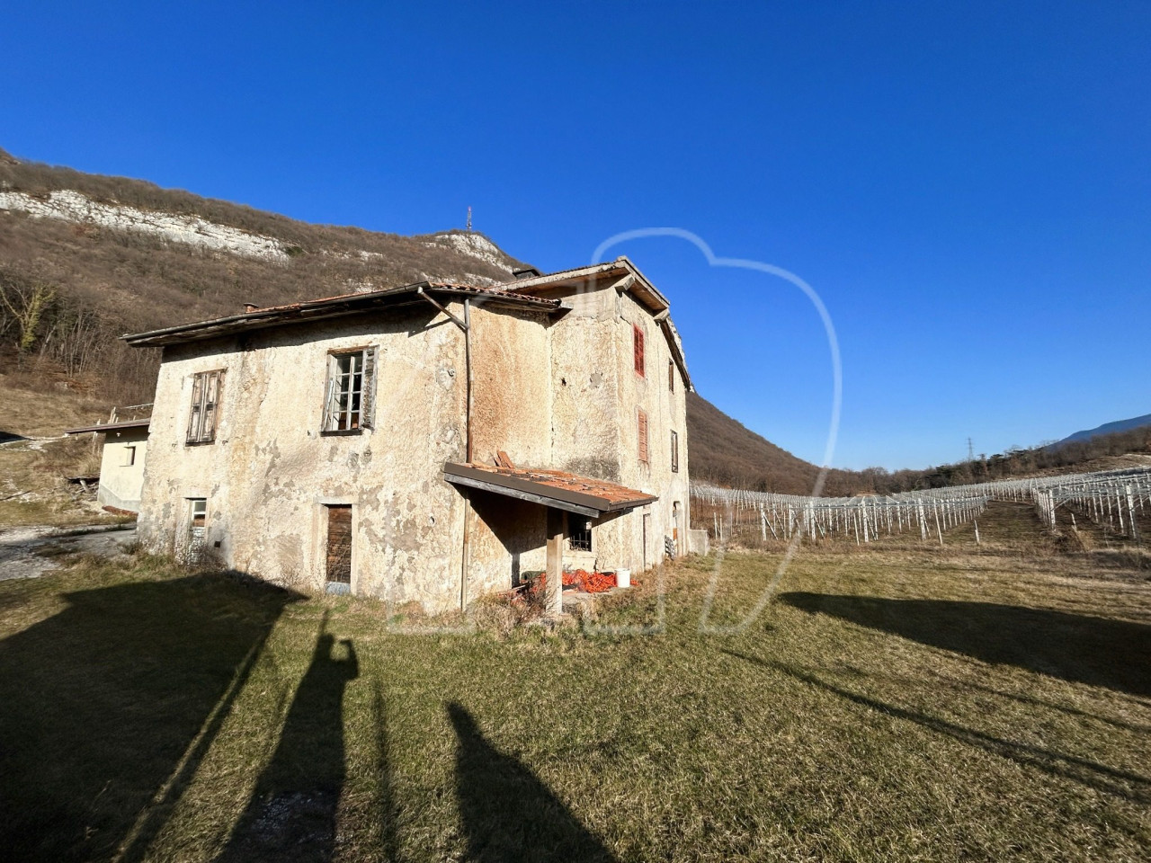 Villa d’epoca con Vigneto e Bosco