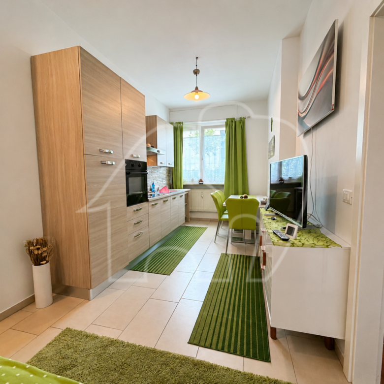 Investitionsmöglichkeit: renovierte 2-Zimmerwohnung