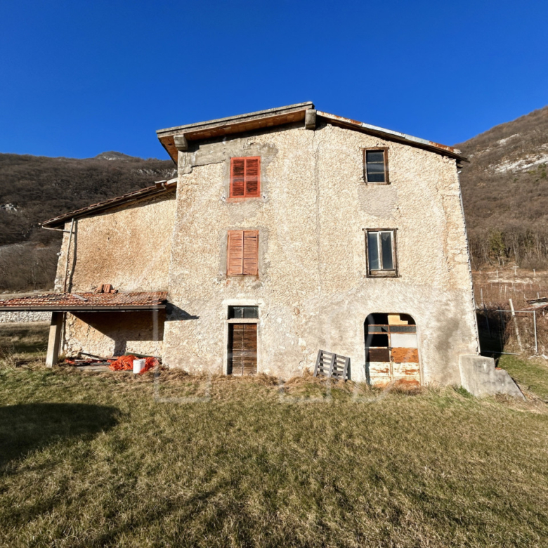 Villa d’epoca con Vigneto e Bosco