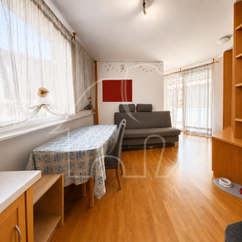 Monolocale con garage