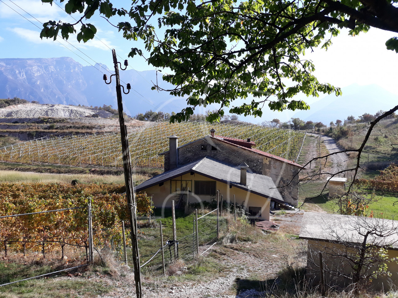 Villa d’epoca con Vigneto e Bosco
