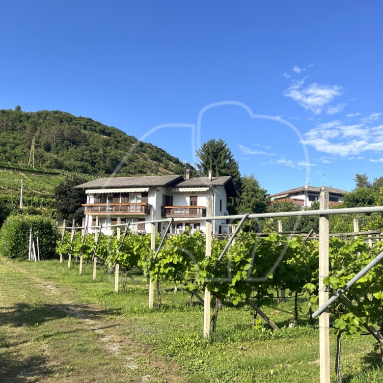 Alleinstehendes Haus mit Grundstück