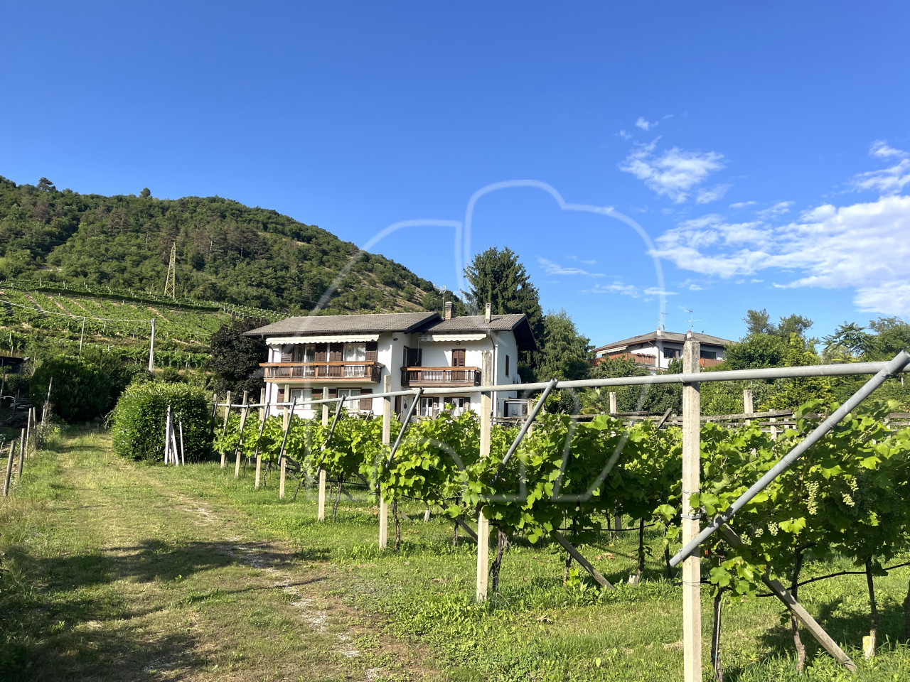 Alleinstehendes Haus mit Grundstück