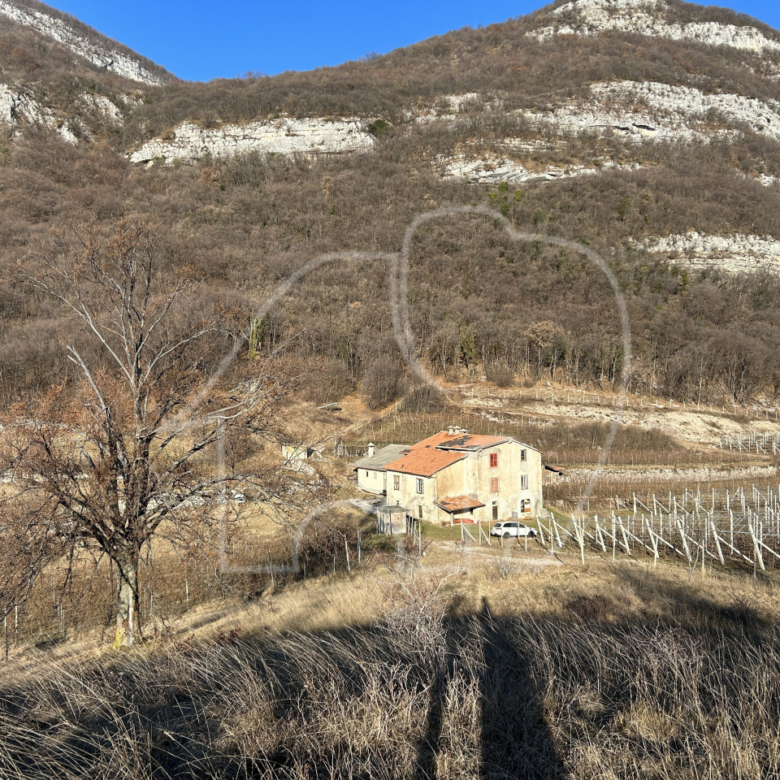 Villa d’epoca con Vigneto e Bosco