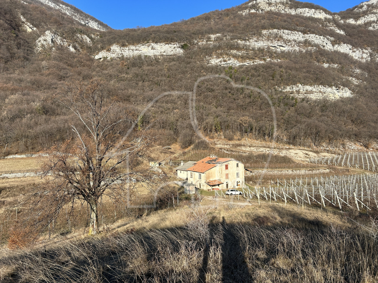 Villa d’epoca con Vigneto e Bosco