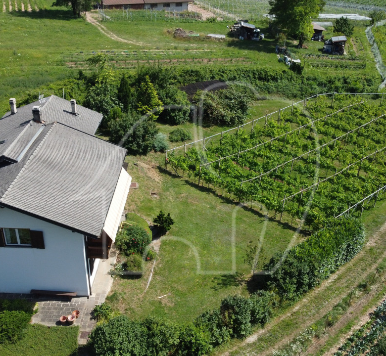 Alleinstehendes Haus mit Grundstück