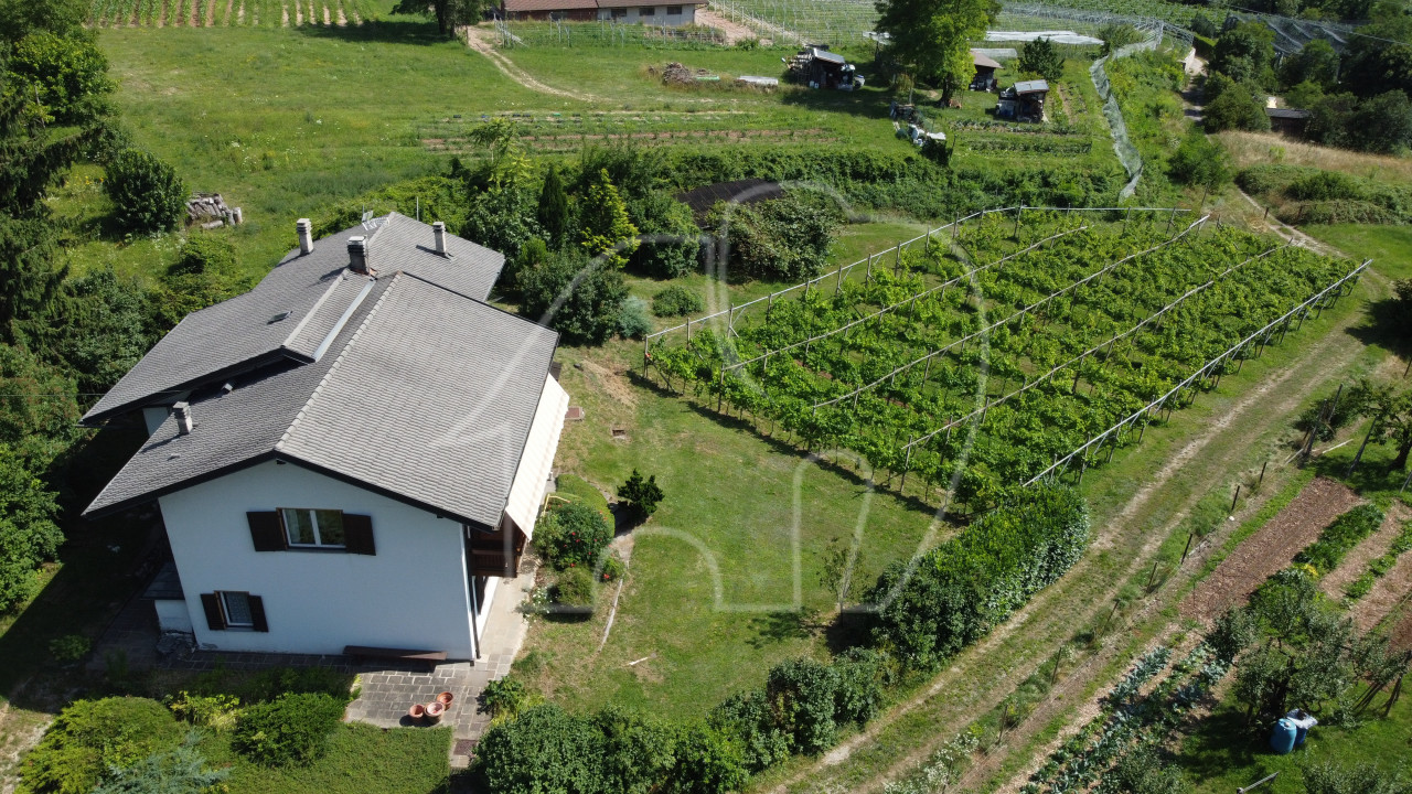 Alleinstehendes Haus mit Grundstück