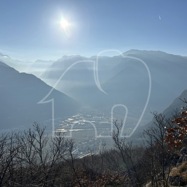 Villa d’epoca con Vigneto e Bosco