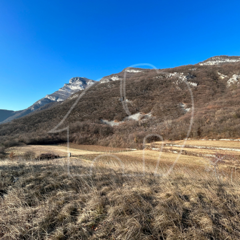 Villa d’epoca con Vigneto e Bosco