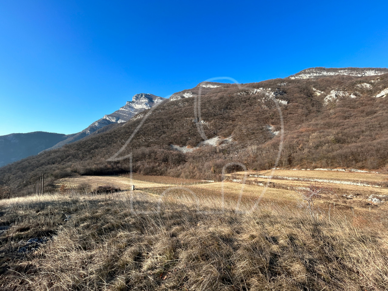 Villa d’epoca con Vigneto e Bosco
