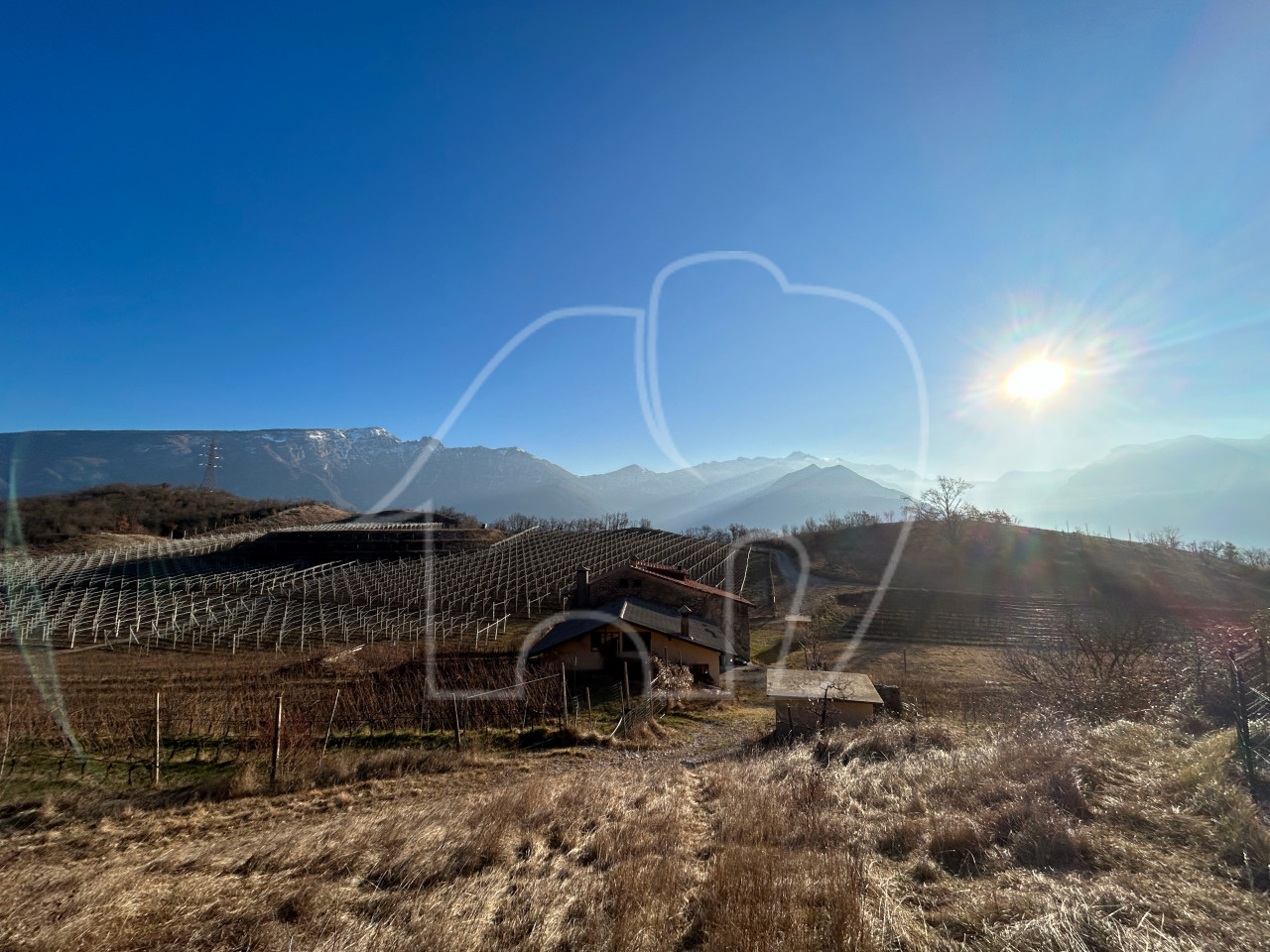 Villa d’epoca con Vigneto e Bosco