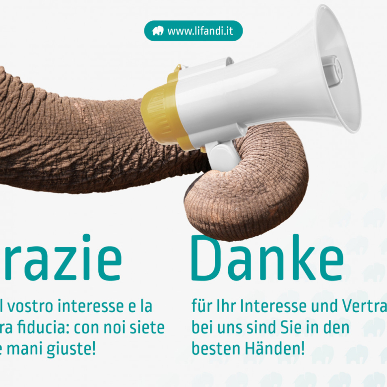 Neubau 4-Zimmerwohnung
