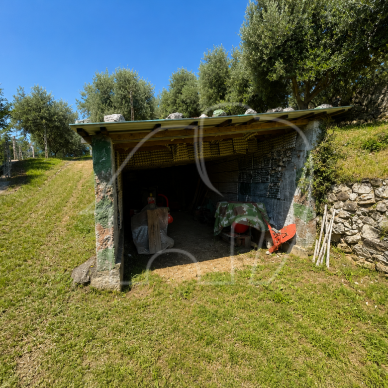 Maso con Terreno e Bosco