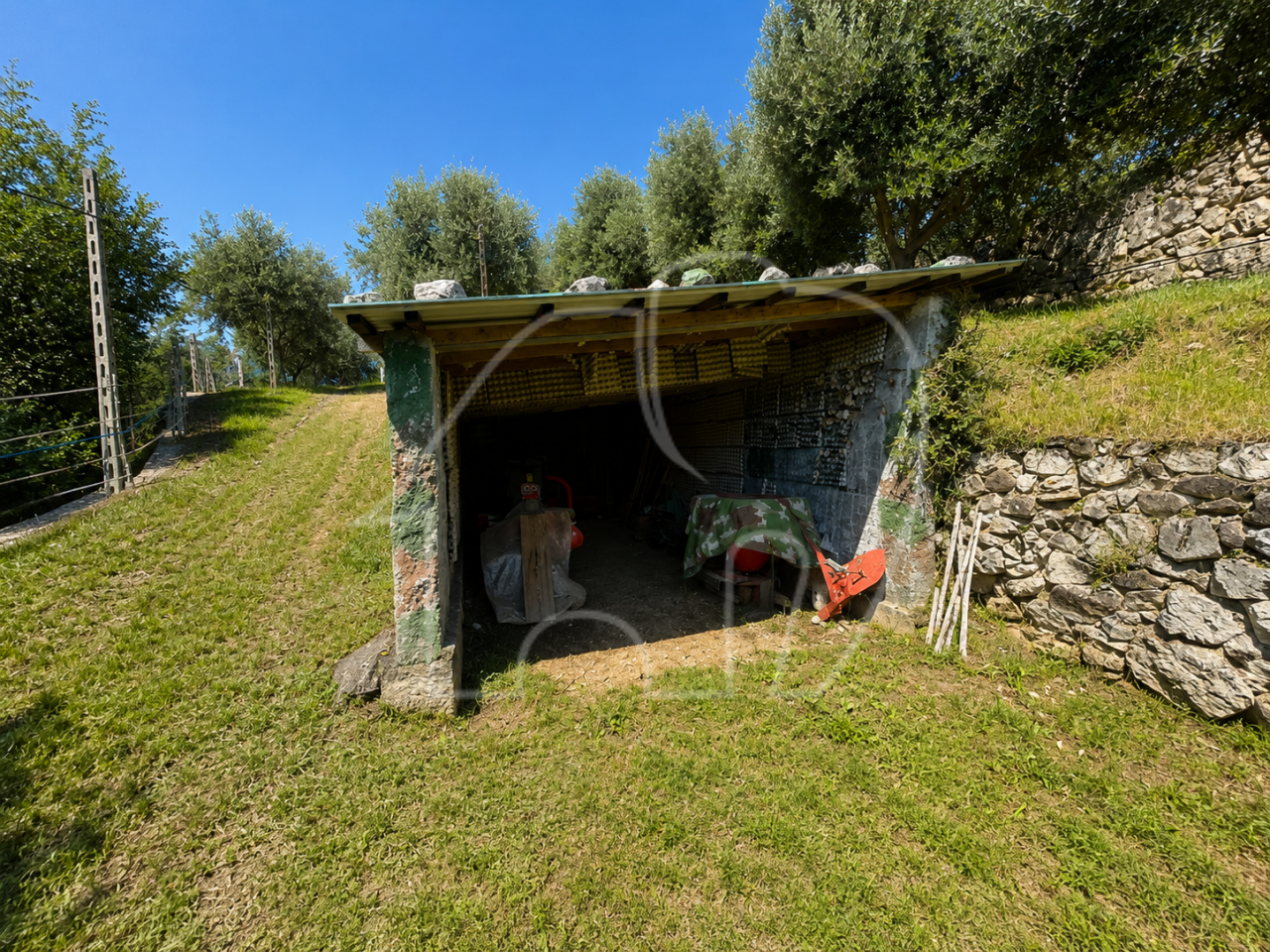 017__n22 Maso con Terreno e Bosco